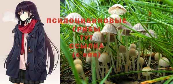 МДПВ Алзамай