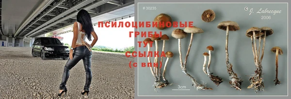 мет Абинск