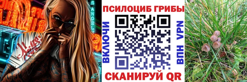 Псилоцибиновые грибы Cubensis  Северская 