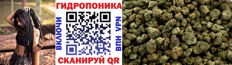 где можно купить наркотик  Северская  Бошки марихуана OG Kush 